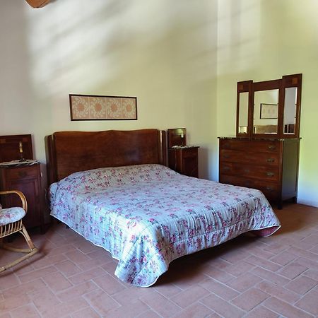 Casa Daria, Armonia Del Passato Nel Rispetto Della Natura Donoratico Ngoại thất bức ảnh