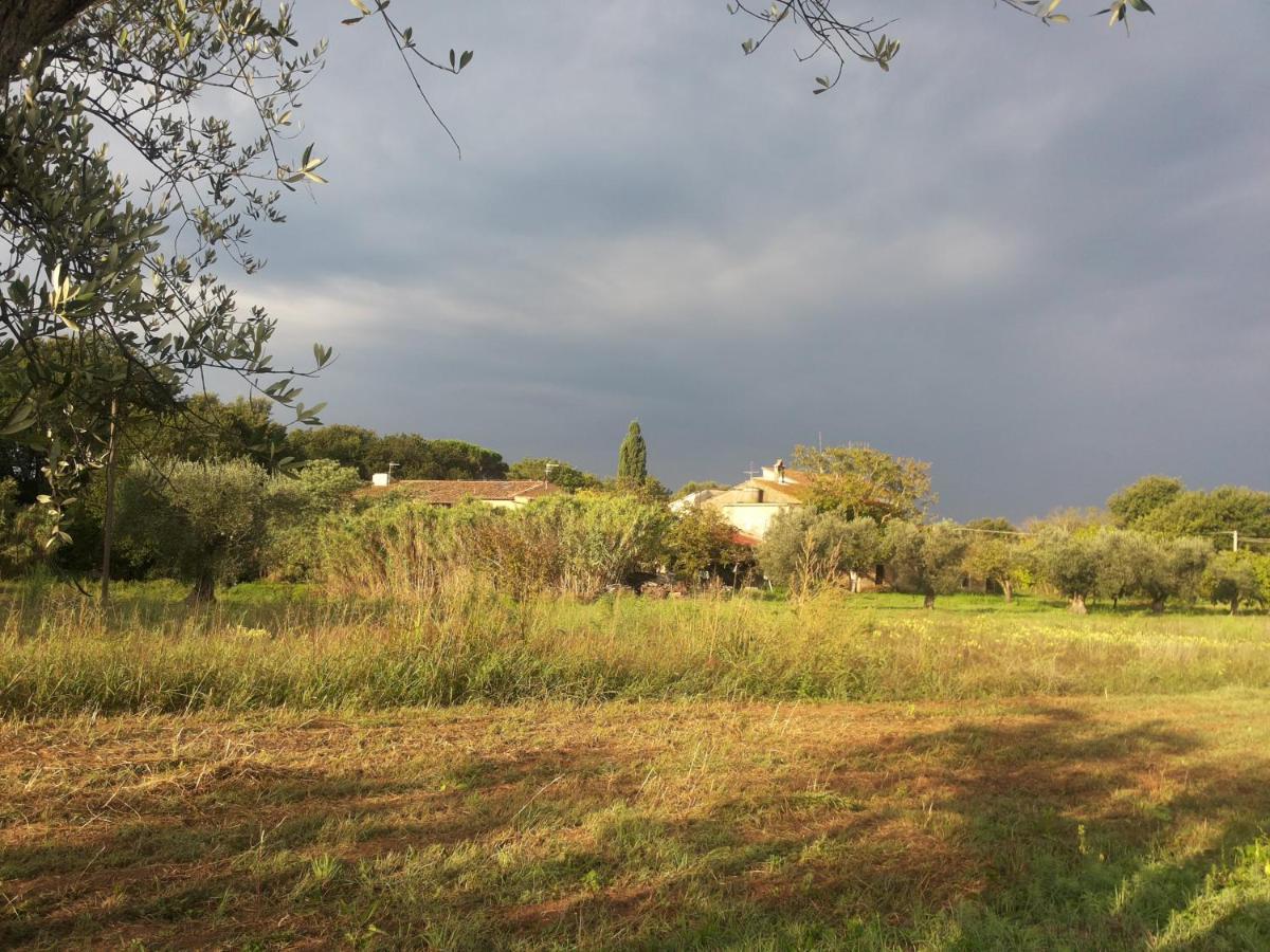 Casa Daria, Armonia Del Passato Nel Rispetto Della Natura Donoratico Ngoại thất bức ảnh