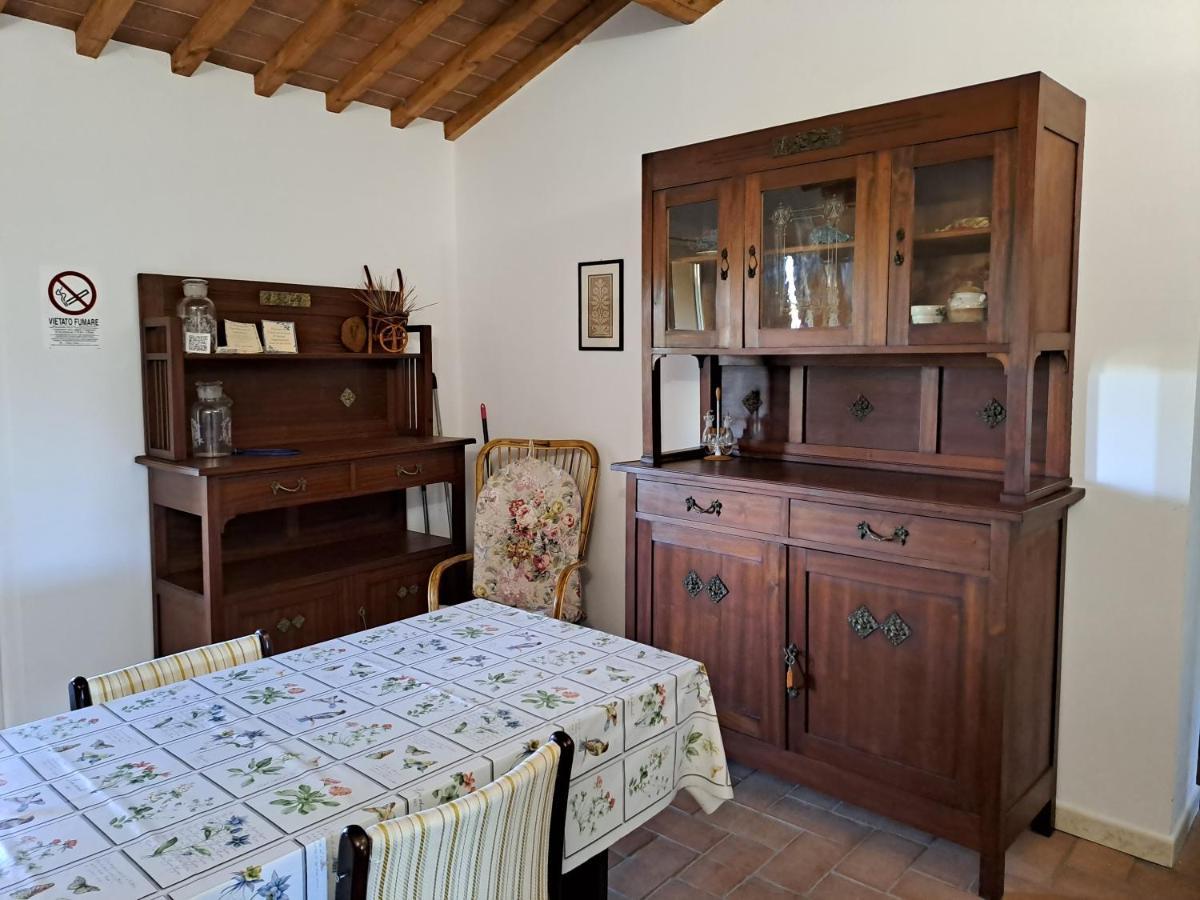 Casa Daria, Armonia Del Passato Nel Rispetto Della Natura Donoratico Ngoại thất bức ảnh