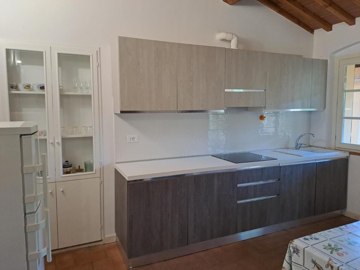 Casa Daria, Armonia Del Passato Nel Rispetto Della Natura Donoratico Ngoại thất bức ảnh